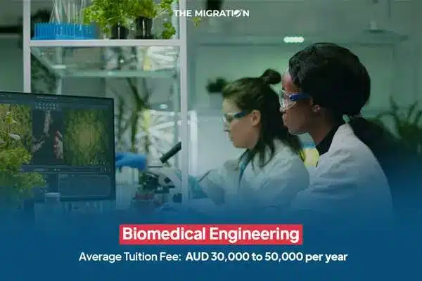 Biomedical Engineering